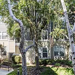 Santa Clara 2Br W Wd Gym Pool S F O -577